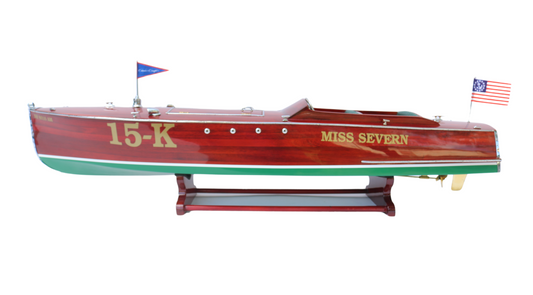MISS SEVERN