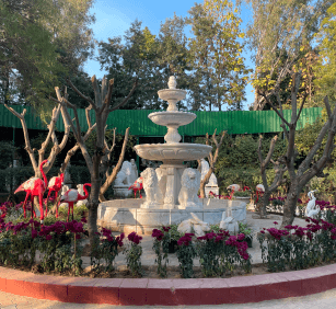 Roundabout Fountains