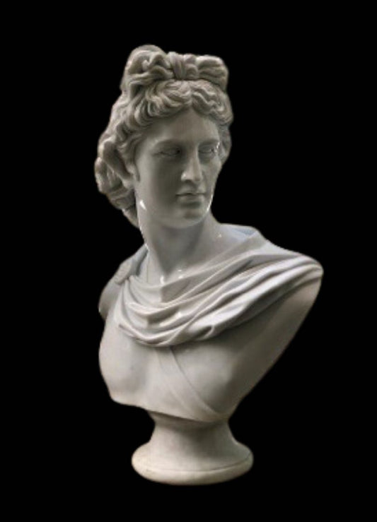 Apollo Belvedere Bust