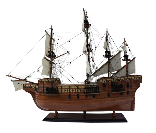 MARY ROSE